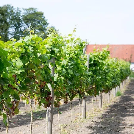 Dragsholm Slot Hotel Horve