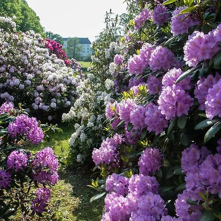 Hotel Dragsholm Slot