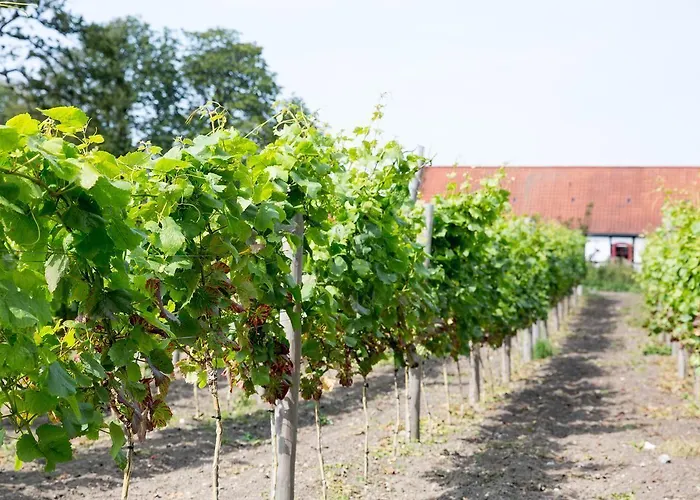 Dragsholm Slot Hotell Hørve