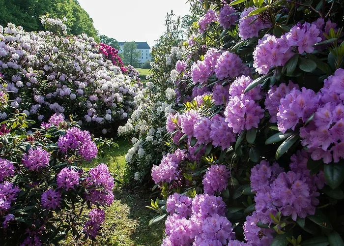 Hotell Dragsholm Slot